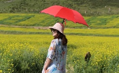 青青青草免费超碰